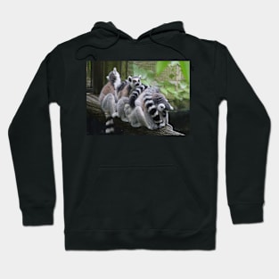 I'll Be Look-Out! Hoodie